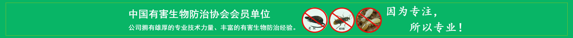 南京杀虫