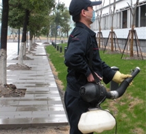南京杀虫